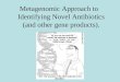 Metagenomic Approach to Identifying Novel Antibiotics (and other gene products)