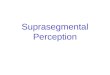 Suprasegmental Perception. Suprasegmental Phonology prosodic boundary cues lexical stress rhythm phrasal stress lexical tone