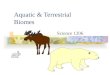 Aquatic & Terrestrial Biomes Science 1206. Biomes There are two major types of ecosystems: Aquatic Terrestrial Each can be subdivided further