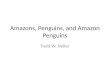 Amazons, Penguins, and Amazon Penguins Todd W. Neller