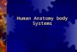 Human Anatomy body Systems. Integumentary system 1. Organs 1. Skin 2. Hair 3. Nails 4. Sweat glands 5. Sebaceous glands