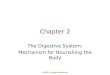 2009 Cengage-Wadsworth Chapter 2 The Digestive System: Mechanism for Nourishing the Body