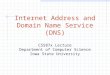 Internet Address and Domain Name Service (DNS) CS587x Lecture Department of Computer Science Iowa State University