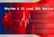 Rhythm & 12 Lead EKG Review. Electrical Cardiac Cells Automaticity – the ability to spontaneously generate and discharge an electrical impulse Excitability