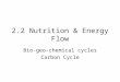 2.2 Nutrition & Energy Flow Bio-geo-chemical cycles Carbon Cycle