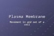 Plasma Membrane Movement in and out of a cell. Plasma Membrane A flexible boundary between the cell and it’s environment JOB: allow steady supply of nutrients