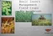 Basic Insect Management : Field Crops Doug Johnson BASIC TRAINING FOR CROP PRODUCTION 2006 Integrated Pest Management Feb. 7 – Winchester Feb. 8 – Elizabethtown