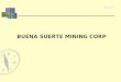 BUENA SUERTE MINING CORP. Buena Suerte Mining Corp (BSMC) ► Who is BSMC?  An affiliate of Oxiana & Royalco Resources Ltd.  Oxiana interests being restructured