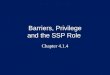 Barriers, Privilege and the SSP Role Chapter 4.1.4