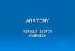 ANATOMY NERVOUS SYSTEM OVERVIEW. Nervous System  The nervous system of the human is the most highly organized system of the body.  The overall function