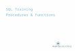 SQL Training Procedures & Functions. Confidential & Proprietary Copyright © 2009 Cardinal Directions, Inc. DB Procedures & Functions Procedures and Functions