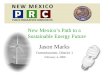 Jason Marks Commissioner, District 1 February 4, 2008 New Mexico’s Path to a Sustainable Energy Future