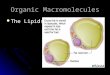 Organic Macromolecules The Lipids The Lipids. What are lipids Lipids are what are commonly referred to as fats. Waxes and oils are also lipids. Lipids