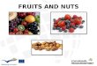 FRUITS AND NUTS. Stone Fruits Stone fruits are named after the large, hard pit that forms the middle of the fruit. The meat of the fruit surrounds the