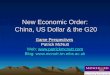 New Economic Order: China, US Dollar & the G20 Game Perspectives Patrick McNutt Web:   Blog: 