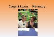 Cognition: Memory. The Phenomenon of Memory Introduction Memory Extremes of memory