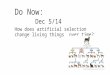 Do Now: Dec 5/14 How does artificial selection change living things over time?