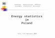 Energy statistics in Poland Oslo, 6-8 February 2006 Central Statistical Office Economic Statistics Division