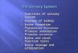 Functions of urinary system  Anatomy of kidney  Urine formation  glomerular filtration  tubular reabsorption  tubular secretion  Urine and renal