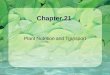 Chapter 21 Plant Nutrition and Transport. 21.1 Nutrients from Soil and Air Experiments Aristotle - soil provides substance Van Helmont - water provides