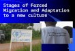1 Stages of Forced Migration and Adaptation to a new culture