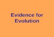 Evidence for Evolution. Types of Evidence for Evolution 1.Fossil Record (ex: horses and whales) 2.Biogeography 3.Comparative Anatomy –Homologous Structures