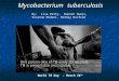 World TB Day - March 24 th Mycobacterium tuberculosis By: Lisa Petty, Haneen Oueis, Suzanne Midani, Rodney Rosfeld