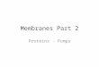 Membranes Part 2 Proteins - Pumps. Membrane Proteins Integral proteins – Transmembrane domains 25 aa  -helix  -barrel H-bonding of all amino & carbonyl