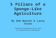 5 Pillars of a Sponge-Like Agriculture By Bob Watson & Larry Stone PowerPoint Developed by Dick Janson in consultation with Bob Watson