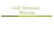 Cell Division - Mitosis. Cell Division—Mitosis Notes Cell Division — process by which a cell divides into 2 new cells Why do cells need to divide? 1.Living
