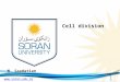 Www.soran.edu.iq M. Saadatian Cell division 1.   Cell division Mitosis