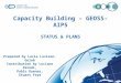 Capacity Building – GEOSS- AIP5 STATUS & PLANS Prepared by Lucia Lovison-Golob Contribution by Luciano Parodi, Pablo Duenas, Stuart Frye