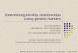 Determining kinship relationships using genetic markers Tom Wenseleers Laboratorium voor Entomologie KULeuven tom.wenseleers@bio.kuleuven.be Lecture can