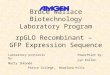 Bruce Wallace Biotechnology Laboratory Program rpGLO Recombinant – GFP Expression Sequence PowerPoint by: Lyn Koller Laboratory protocols by: Marty Ikkanda