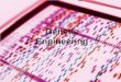 1 Genetic Engineering. Genetic Engineering: Enzymes for Dicing and Splicing Nucleic Acids Restriction endonucleases -enzymes capable of recognizing foreign