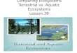 Comparing Ecosystems Terrestrial vs. Aquatic Ecosystems Lesson 38