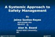 A Systemic Approach to Safety Management By Jaime Santos-Reyes Working On Safety, Netherlands, 2006 SEPI-ESIME-IPN-MEXICO SEPI-ESIME-IPN-MEXICO & Alan