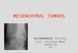 MESENCHYMAL TUMORS Eva SZEKANECZ M.D.,Ph.D. Inst. Oncology MHSC Debrecen 2013