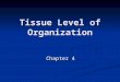 Tissue Level of Organization Chapter 4. 4 Primary Tissue Types 1. Epithelia Covers exposed surfaces Covers exposed surfaces Lines internal passages &