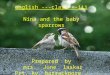 english ---class---iii Nina and the baby sparrows Prepared by mrs. June laskar Prt, kv, barrackpore, afs