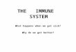 THE IMMUNE SYSTEM What happens when we get sick? Why do we get better?
