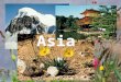 Asia is the largest part of the world. Together with Europe it makes one continent Eurasia. With the surface of the Caspian Sea, the area of Asia is 44.4