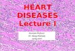 HEART DISEASES Lecture I Associate Professor Dr. Alexey Podcheko Spring 2015