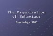 The Organization of Behaviour Psychology 3106. Introduction Animals can do many things Forage Forage Defend Defend Look for mates, etc… Look for mates,
