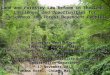 Land and Forestry Law Reform in Thailand : Challenges and Opportunities for Indigenous and Forest Dependent Peoples By Somchai Benjachaya Technical Forest