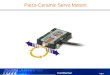 Page 1 Confidential Piezo-Ceramic Servo Motors. Page 2 Confidential Linear, Rotary or Spherical Motion