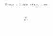 Drugs → brain structures AP MST. Bipolar disorder
