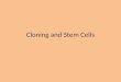 Cloning and Stem Cells. Stem Cells Cells that have not yet differentiated into their final developmental stage and/or function. 