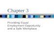 Chapter 3 Providing Equal Employment Opportunity and a Safe Workplace