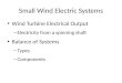 Small Wind Electric Systems Wind Turbine Electrical Output – Electricity from a spinning shaft Balance of Systems – Types – Components